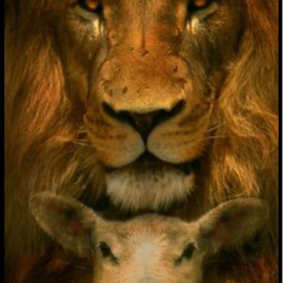 Profile Picture of Leigh Dolgerson (@leighdolgerson) on Poshmark