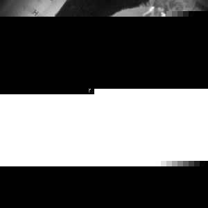 Profile Picture of Malcolm Tate (@evilchicken1000) on Myspace