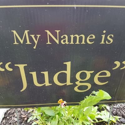 Profile Picture of Randy Judge (@Randy_Judge) on Twitter