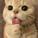 Profile Picture of Aiden Alex Pinson (@m_int_y_15) on Instagram