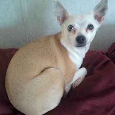 Profile Picture of Ginger Keener (@OliviazMomma) on Twitter