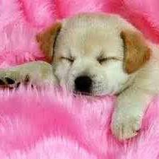 Profile Picture of Lorena Guardado (@LorennaGuardado) on Twitter