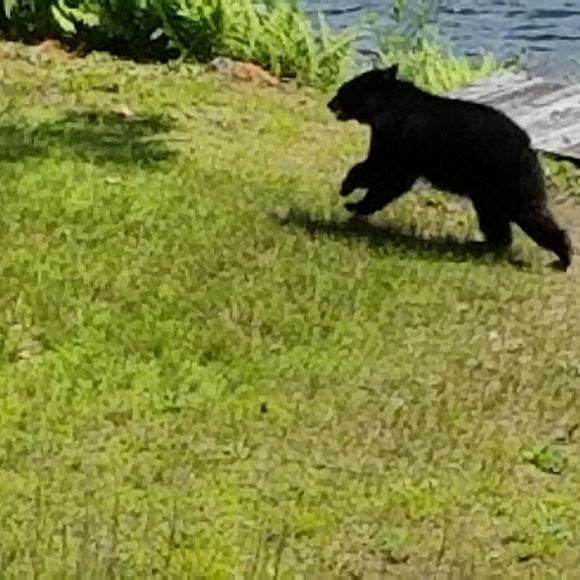 Profile Picture of Kendall Cailler (@cailler556) on Poshmark