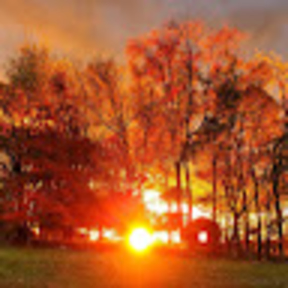 Profile Picture of Shawn Timbrell (@timbrell93) on Poshmark