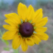 Profile Picture of Jaclyn Phillips (@jaclynphillips996) on Youtube