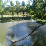 Profile Picture of lilliam cordero (@cordero_lilliam) on Instagram