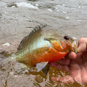 Profile Picture of Chad Guthrie (@chadguthrie1551) on Youtube