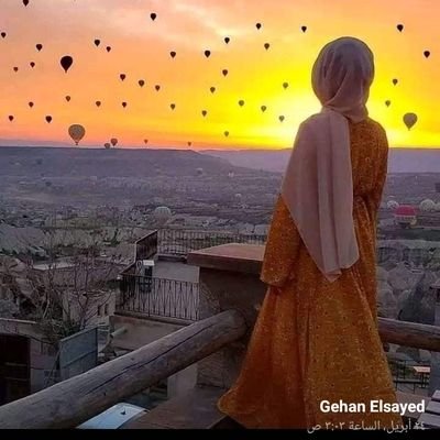 Profile Picture of Gehan Elsayed (@GehanEl90840572) on Twitter