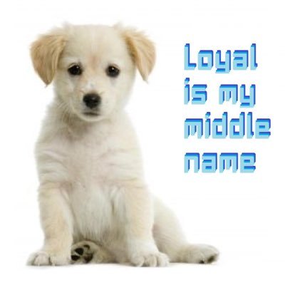 James Keddie - Twitter Profile Picture of James Keddie (@thebearanddogs) on Twitter