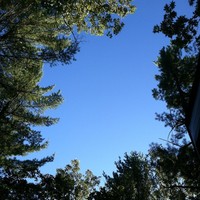 Profile Picture of Marc Lachance (@marc-lachance-1) on Quora