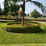 Profile Picture of Nicholas Kalinga (@nicholaskalinga) on Instagram