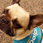 Profile Picture of Barry MacLeod (@macleod6655) on Instagram