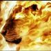 Profile Picture of Cameron De Jager (@cameron.dejager.79) on Facebook