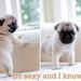Profile Picture of Robert Farley (@bleakgardenrain) on Pinterest