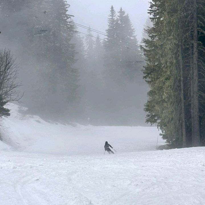 Profile Picture of Daniel_F (@daniel_f2010) on Tiktok