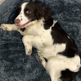 Profile Picture of Daniel Lopera (@lopera_daniel) on Instagram