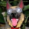 Profile Picture of user1639936944796 (@@jeffbard33) on Tiktok