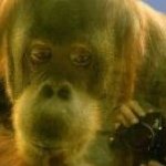 Phil Kimball - Instagram Profile Picture of Phil Kimball (@gatodelsol) on Instagram