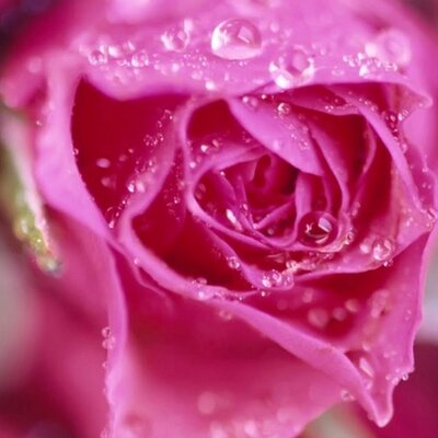 Profile Picture of Alicia Trigo (@aliciat_2011) on Twitter