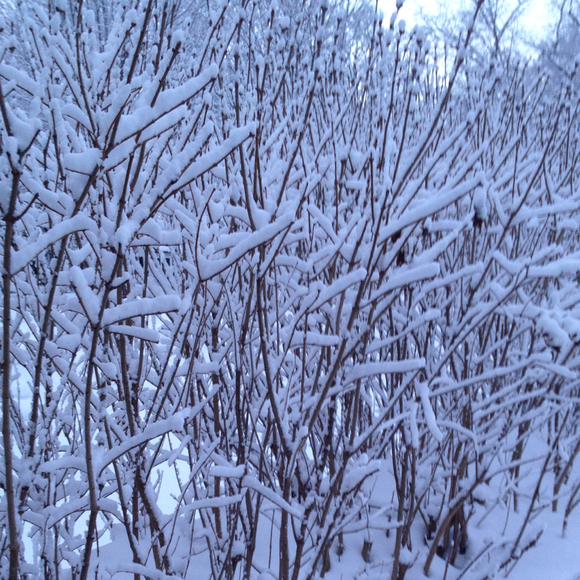 Profile Picture of E Bjoraker (@ebjoraker) on Poshmark