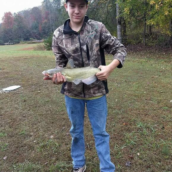 Profile Picture of Austin Chivers (@austin0p) on Poshmark