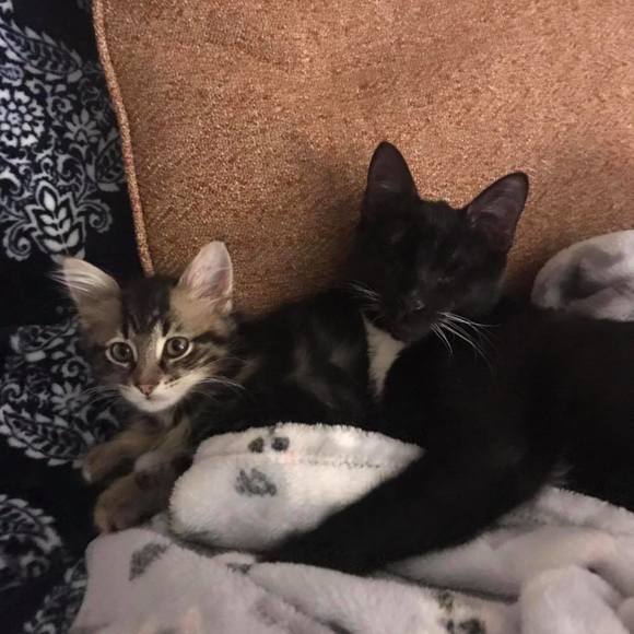 Profile Picture of Sandie Milligan-james (@tashaj71558) on Poshmark