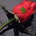 Profile Picture of Hamza Annirr (@hamza.annirr) on Facebook
