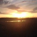 Profile Picture of Leanne Thomas (@ohmarg) on Pinterest