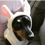 Profile Picture of Jim Drummond (@jimmy2x.jd) on Instagram