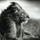 Ryan Downard - Pinterest Profile Picture of Ryan Downard (@drdownard) on Pinterest