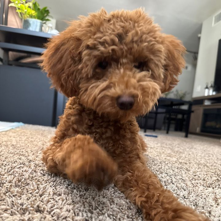 Profile Picture of Matthew (@matthew_mooney) on Tiktok