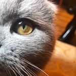 Profile Picture of the only way (@david_pasiotti) on Instagram