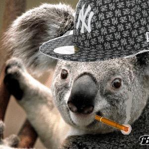 Profile Picture of Martin Picard (@MartinPicrd7) on Twitter