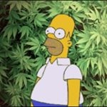 Profile Picture of Stoner Memes (@stoner.meme) on Instagram