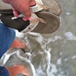 Profile Picture of Greg McMillan (@dblatte1965) on Instagram