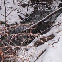 James Oppedisano - Quora Profile Picture of James Oppedisano (@james-oppedisano) on Quora