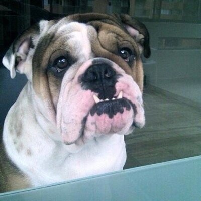 Profile Picture of Juanita Montaño (@juani_mj) on Twitter