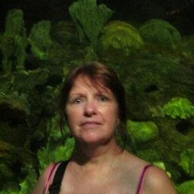 Profile Picture of Kathy McClure (@KathyMcClure123) on Twitter