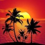 Profile Picture of Alexcia Gray (@beach_vibes136) on Instagram