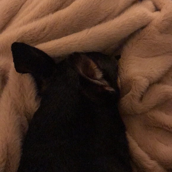 Profile Picture of Synthia Isacson (@pinetree112) on Poshmark