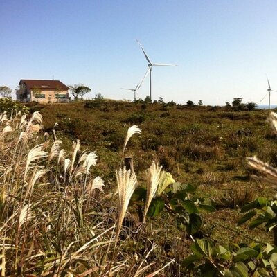 Profile Picture of Woo-Hong Park (@pwh0825) on Twitter