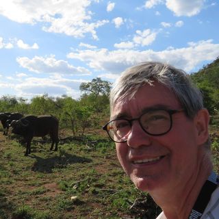 Profile Picture of Marcel Lacharité (@marcel.lacharite.50) on Facebook