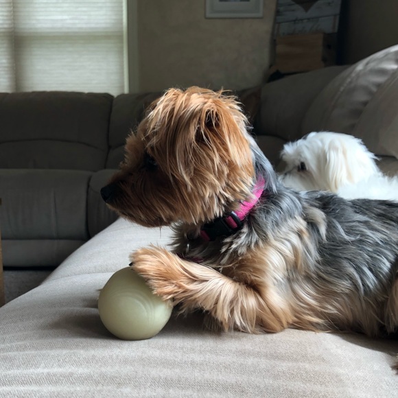 Arianna Mcdavitt - Poshmark Profile Picture of Arianna Mcdavitt (@amcdavitt) on Poshmark