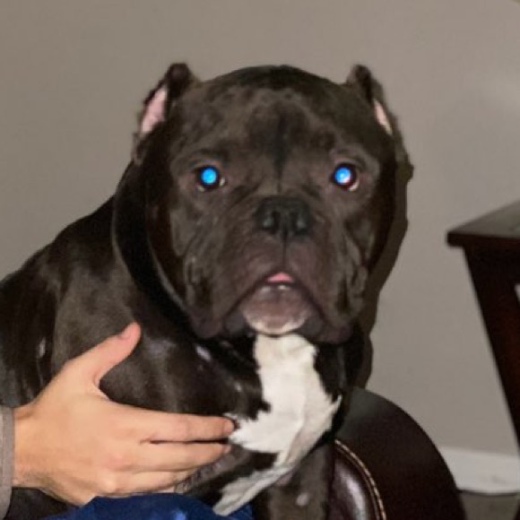 Profile Picture of Allyson Deimel (@adeimel) on Poshmark