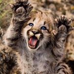 Profile Picture of Jeremy Houser (@faydenuniverse) on Instagram