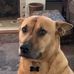 Profile Picture of Scott Weikert (@scott.weikert.3) on Facebook