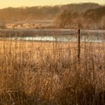 Profile Picture of Glendora Moore (@glendab7965) on Instagram