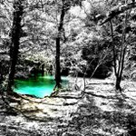 Profile Picture of Claudia maxwell (@sakilimeite) on Instagram