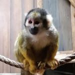 Profile Picture of Mark Manning (@markmanning.ig) on Instagram