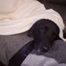 Profile Picture of Andrew Hubbert (@andrew.hubbert.581) on Facebook